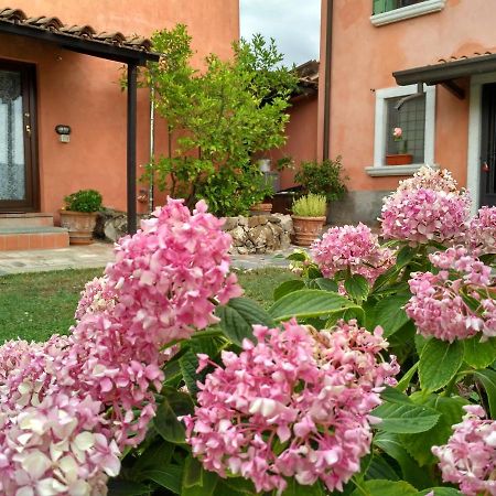 B&B Dama Sarzana Exteriér fotografie