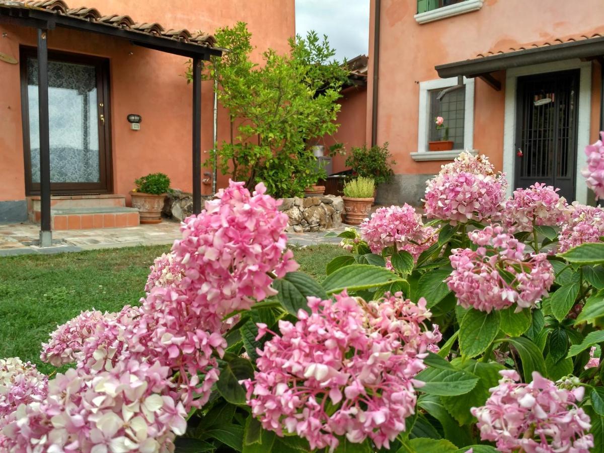 B&B Dama Sarzana Exteriér fotografie